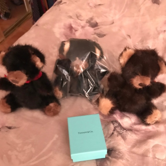 Mink Bear (Rare Bear) (Birthday)(Valentines Day) - Picture 3 of 3